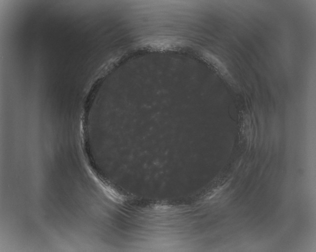 X0000071900590200607141336