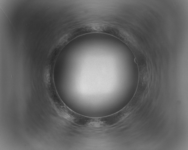 X0000071900595200607141336