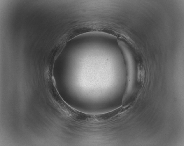 X0000071900597200607141336