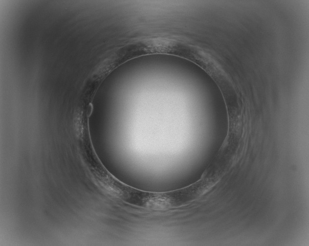 X0000071900599200607141336