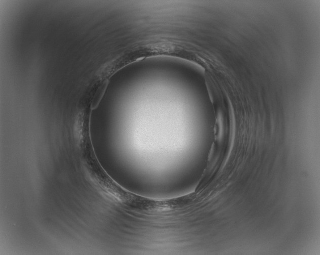 X0000071900600200607141336