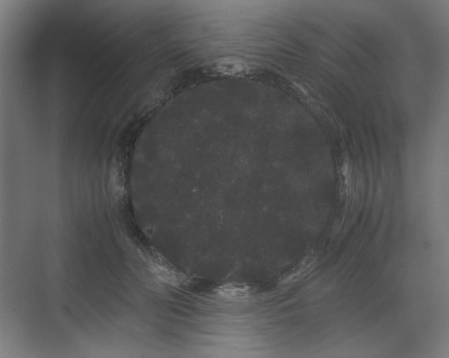 X0000071900606200607141336