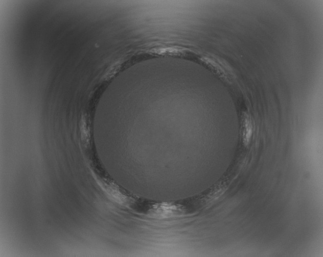 X0000071900607200607141336