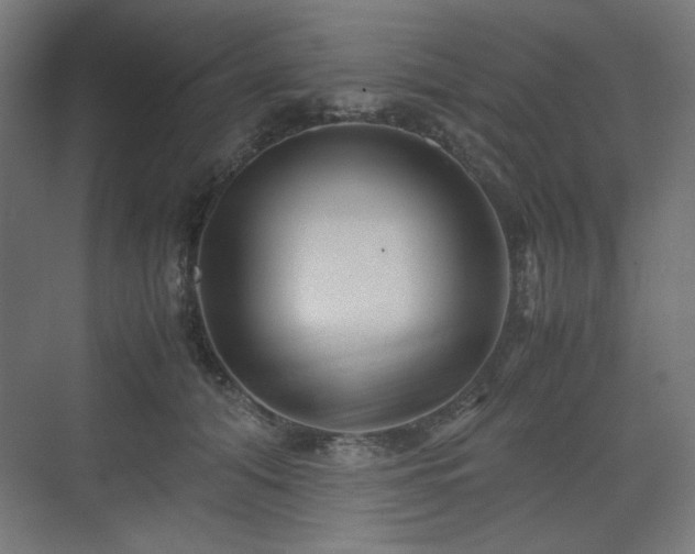 X0000071900608200607141336
