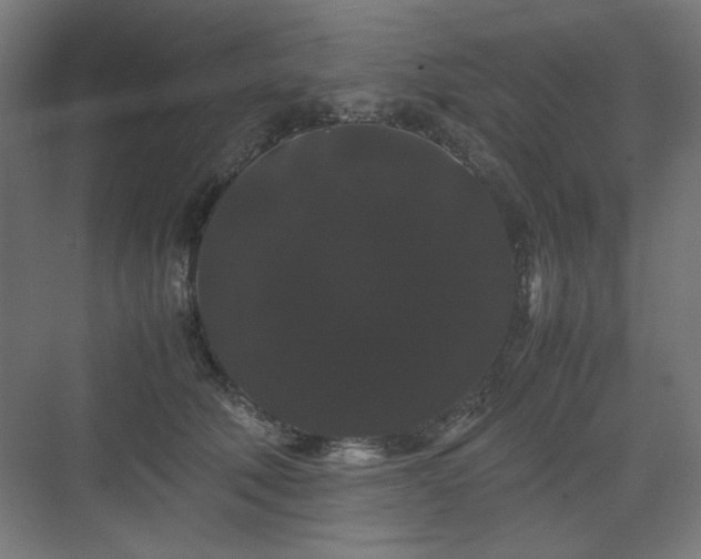 X0000071900610200607141336