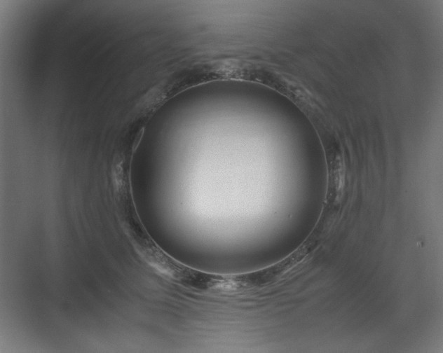 X0000071900611200607141336