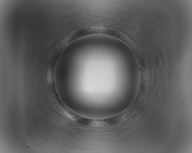 X0000071900617200607141336