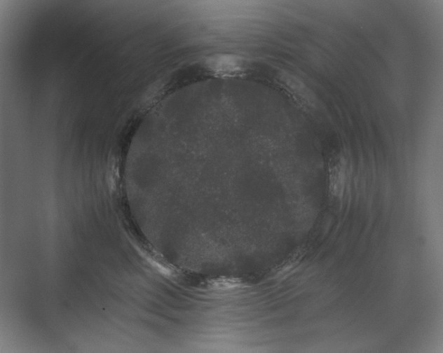 X0000071900618200607141336