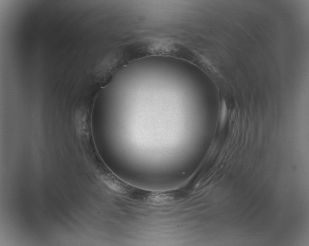 X0000071900619200607141336