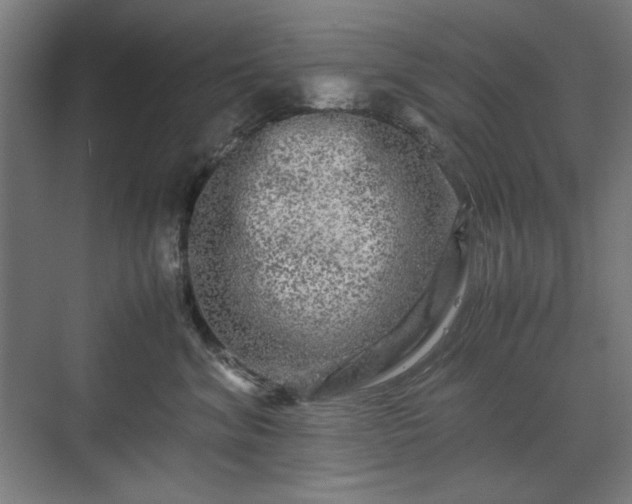 X0000071900620200607141336