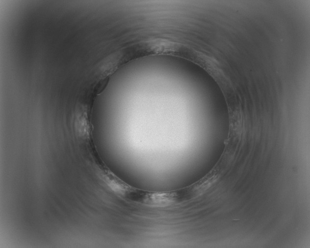 X0000071900622200607141336