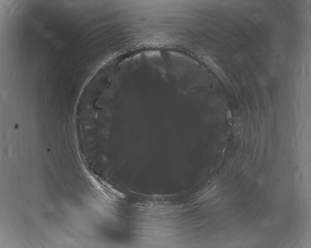 X0000071900626200607141335