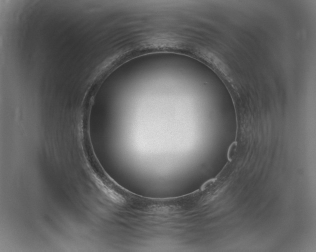 X0000071900629200607141335