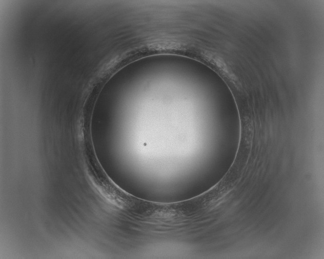 X0000071900631200607141335