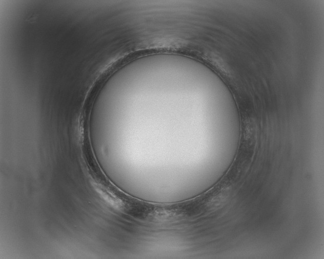 X0000071900632200607141335