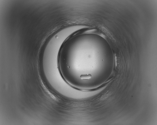 X0000071900634200607141335