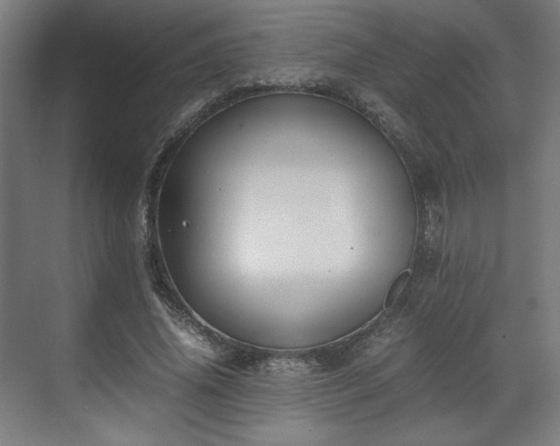 X0000071900636200607141335