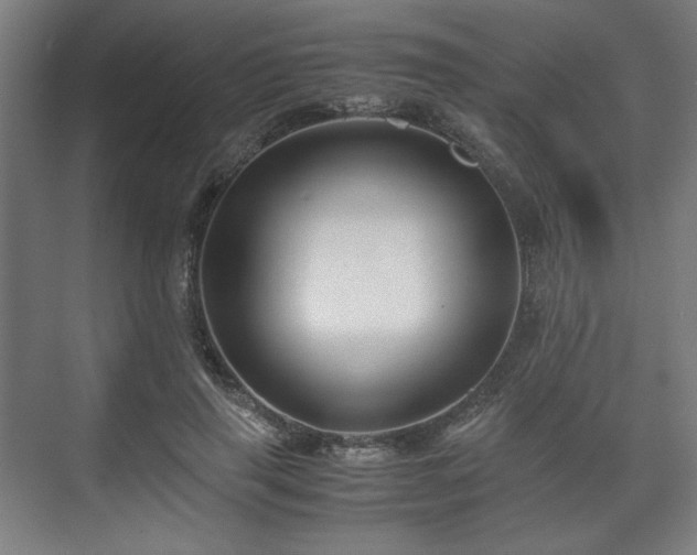 X0000071900645200607141335