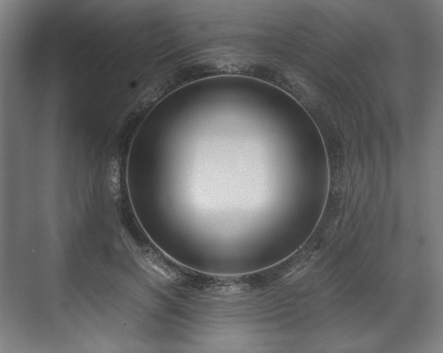 X0000071900646200607141335