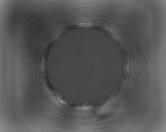 X0000071900647200607141335