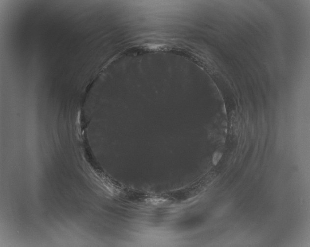 X0000071900650200607141335