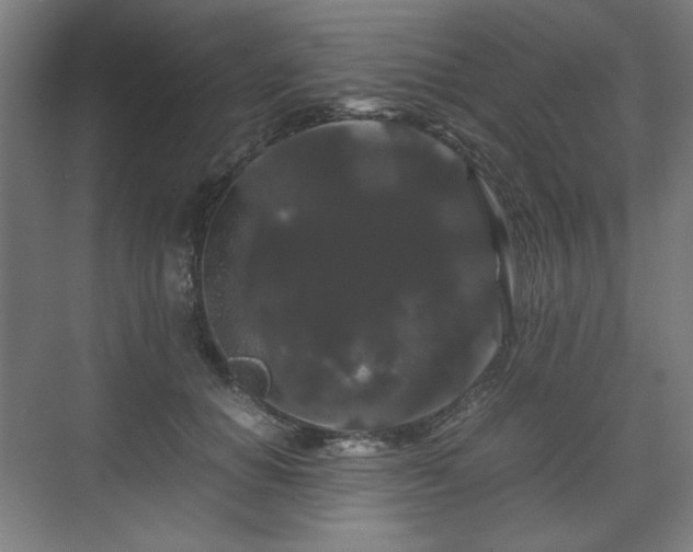 X0000071900654200607141335