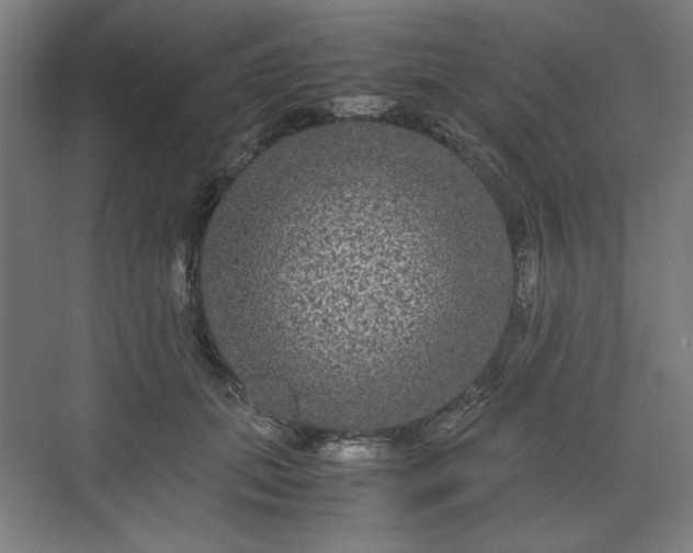 X0000071900655200607141335