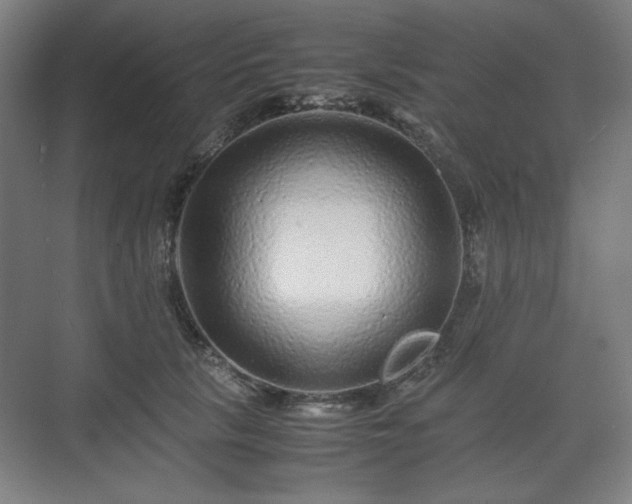 X0000071900657200607141335