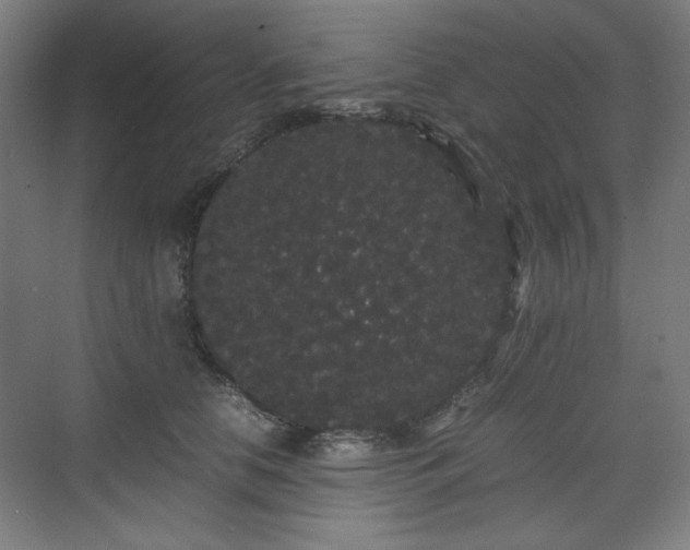 X0000071900658200607141335