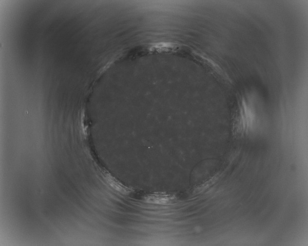 X0000071900661200607141336