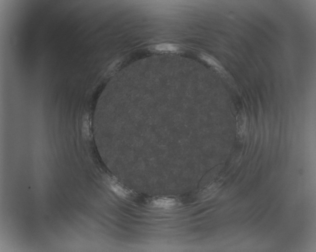 X0000071900669200607141336