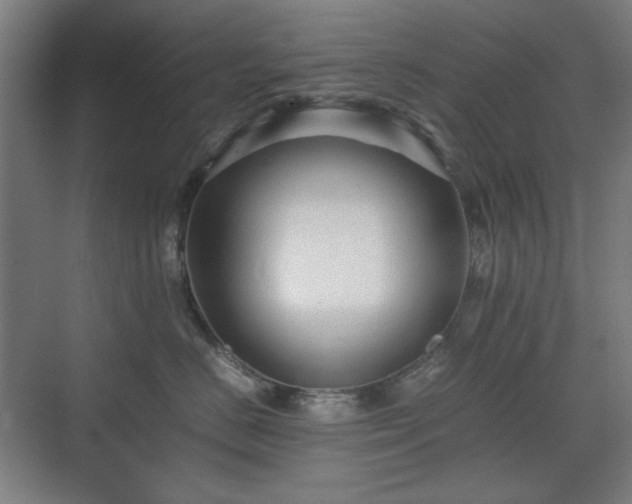 X0000071900670200607141336