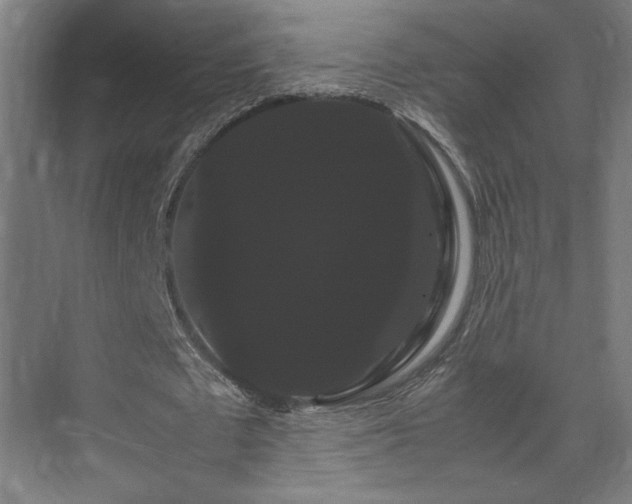 X0000071900673200607141335