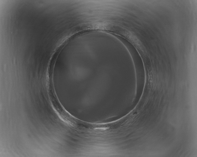 X0000071900674200607141335