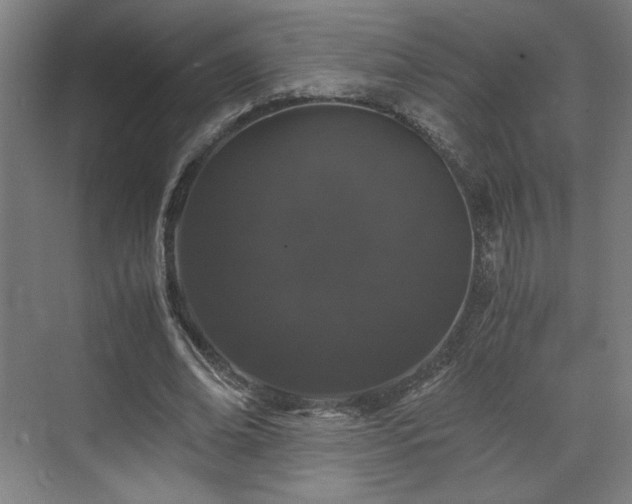 X0000071900678200607141335