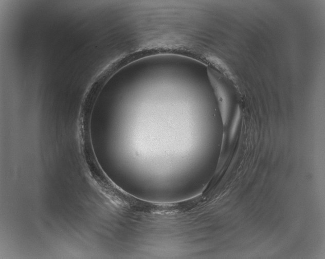 X0000071900680200607141335