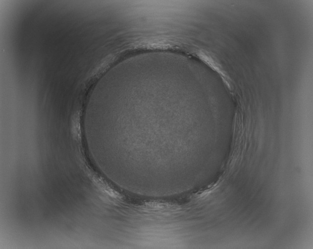 X0000071900681200607141335