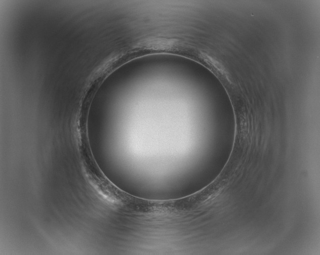 X0000071900682200607141335
