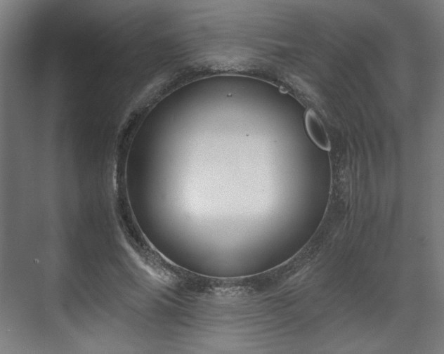 X0000071900686200607141335