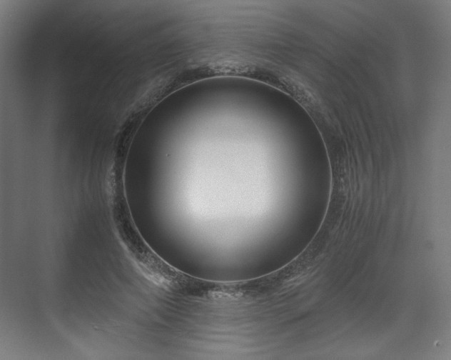 X0000071900690200607141335