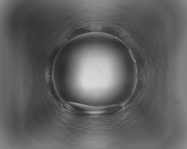 X0000071900697200607141335