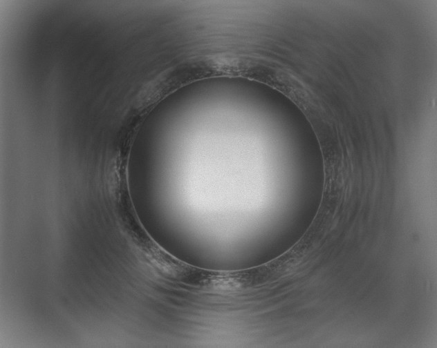 X0000071900702200607141334