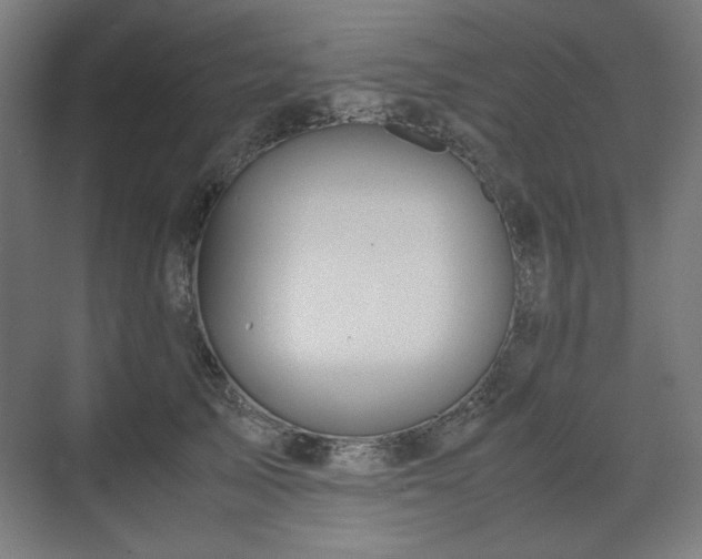 X0000071900705200607141334