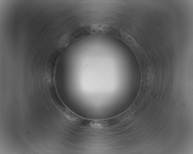 X0000071900706200607141334