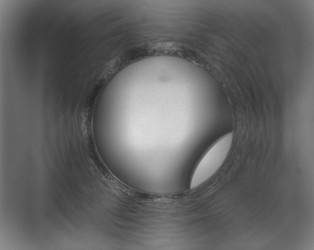X0000071900708200607141334