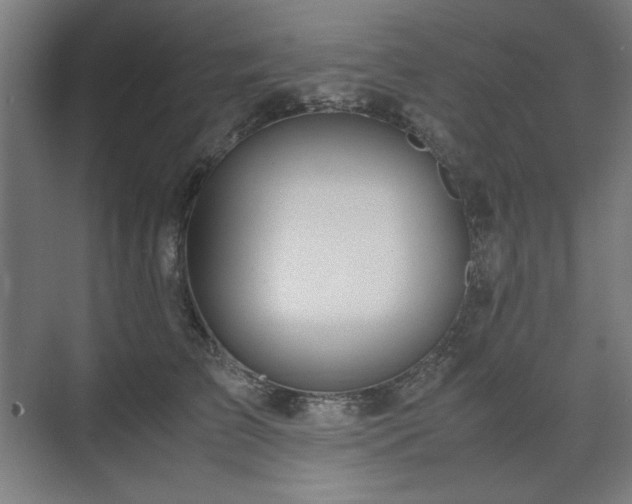X0000071900709200607141334