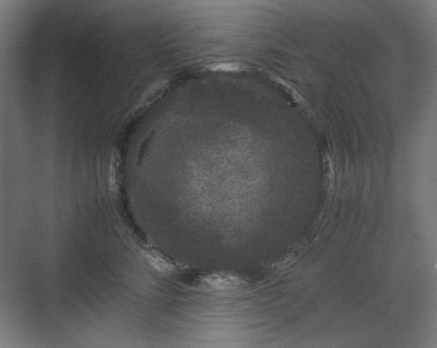 X0000071900712200607141334
