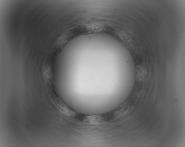 X0000071900713200607141334