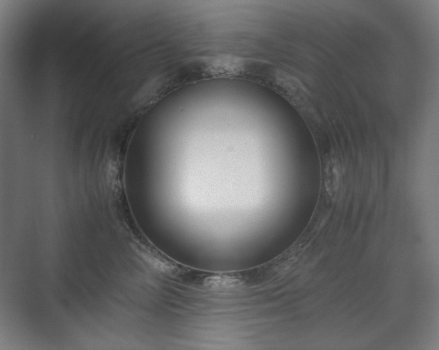 X0000071900714200607141334