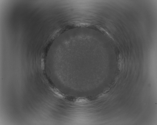 X0000071900716200607141334